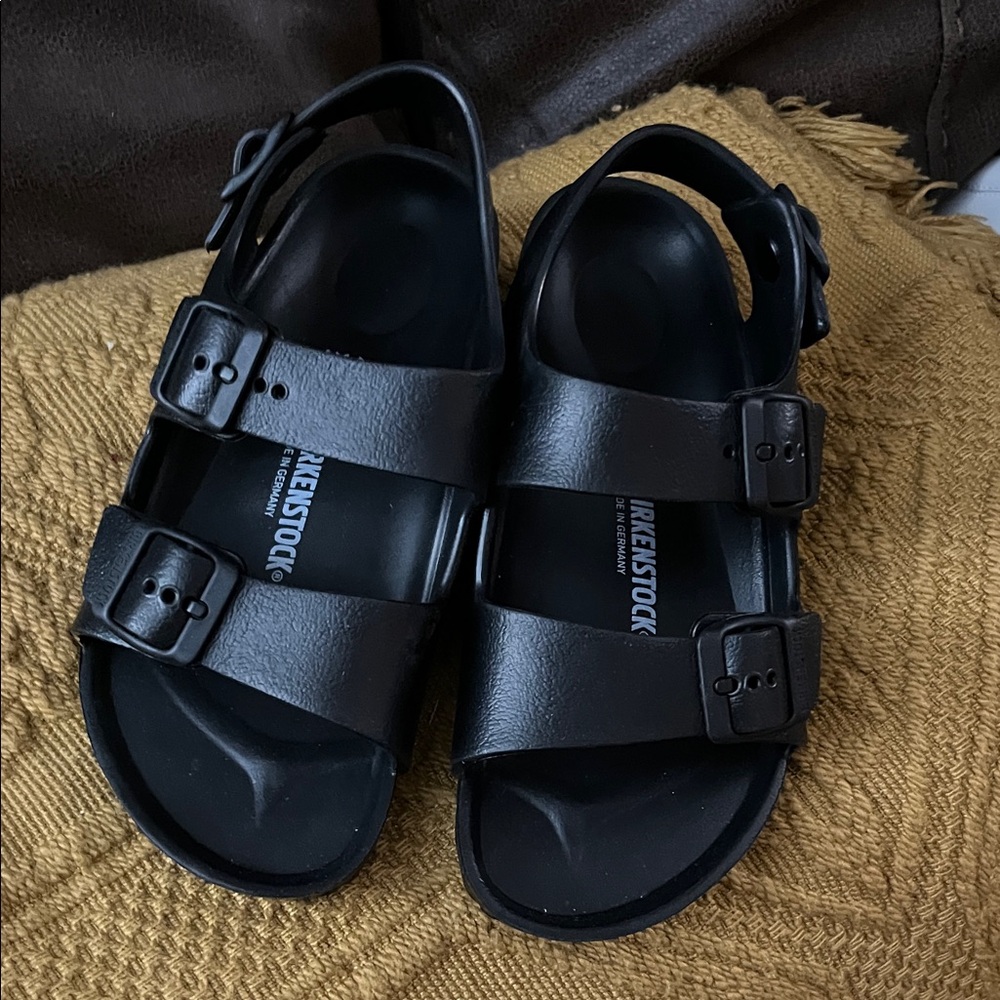Birkenstock Classic Black Double-Strap Sandals